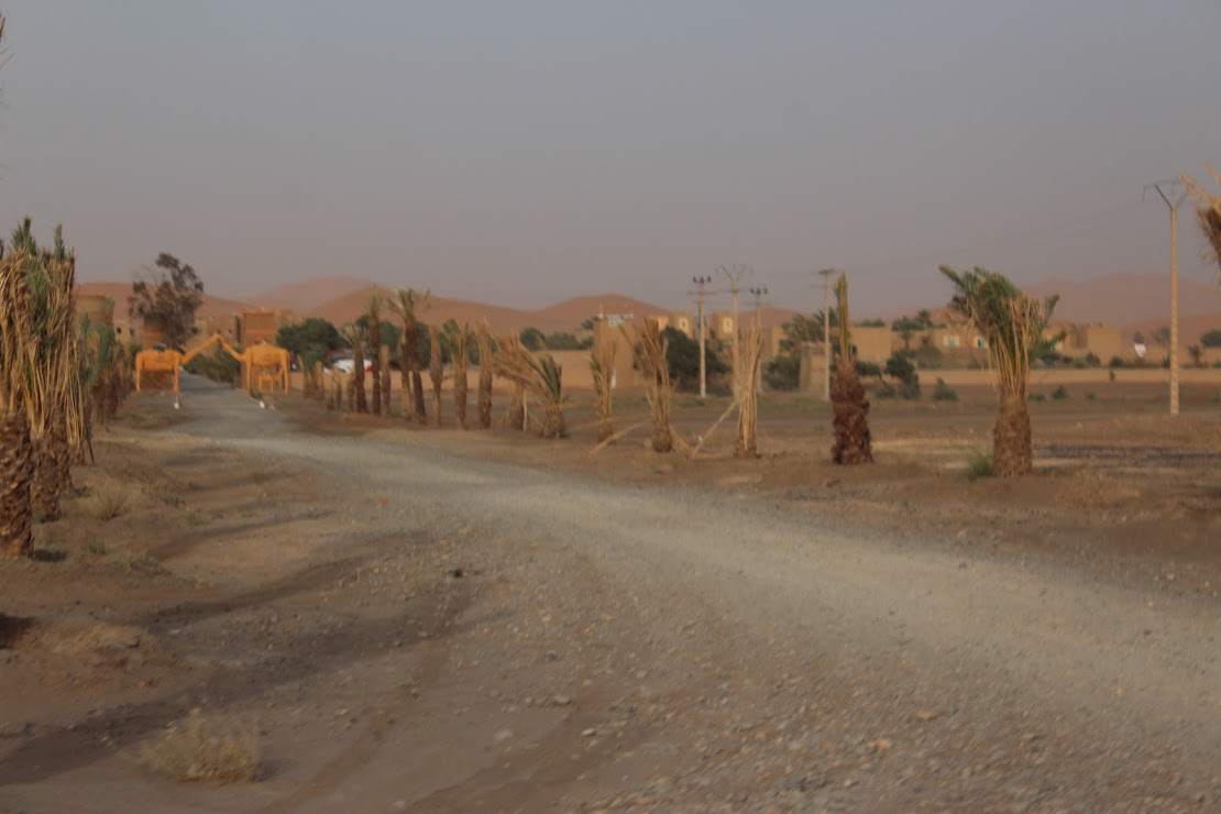 The entrance — camels!