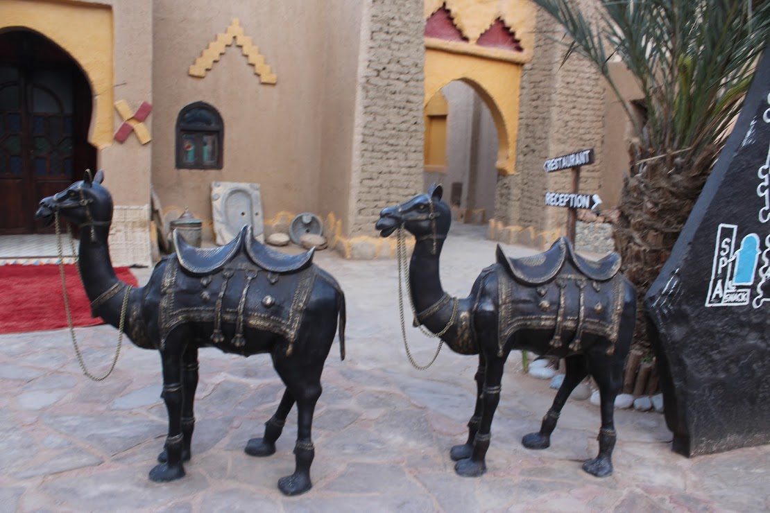 Camel theme inside the courtyard